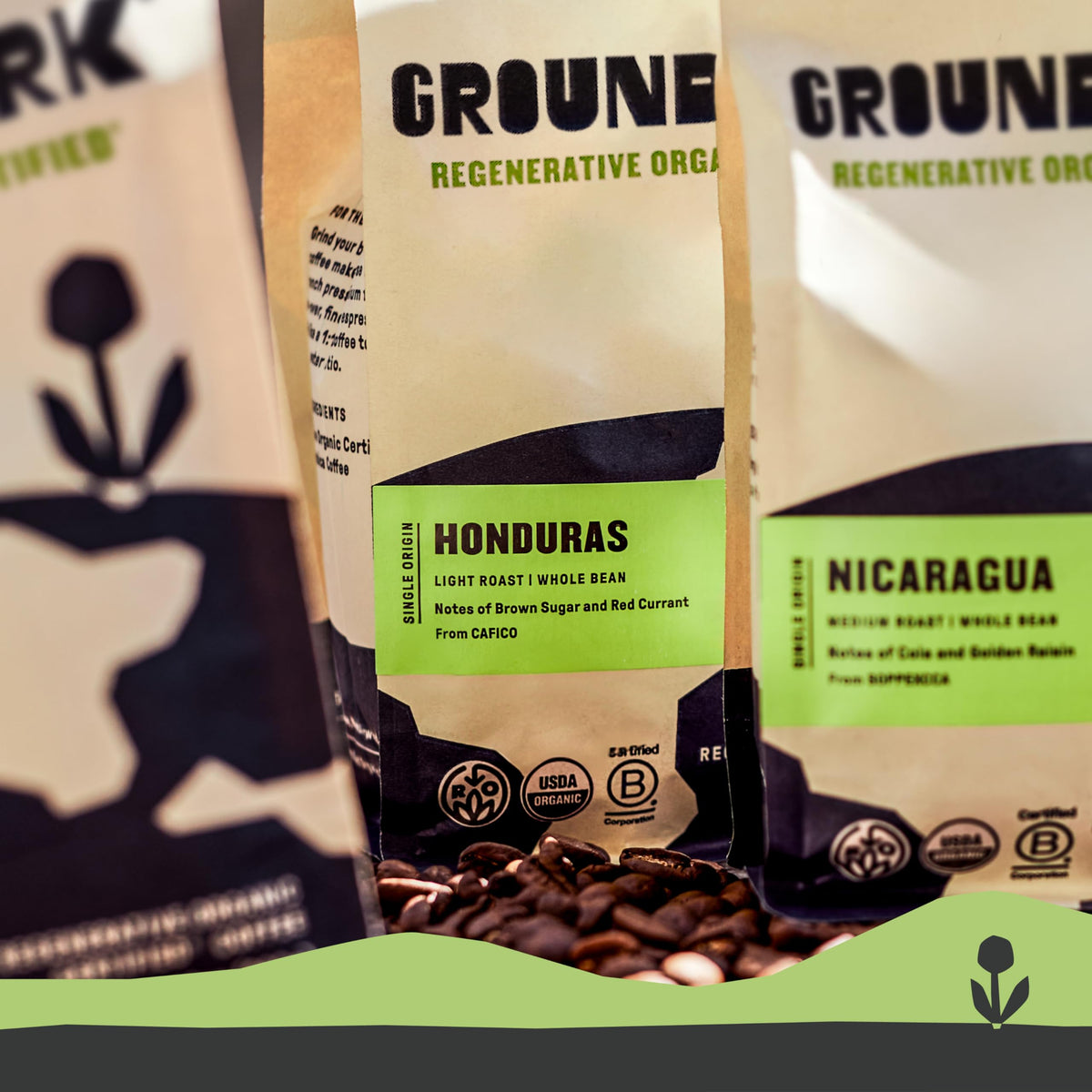 Groundwork Coffee Co ground beans ready for grinding and brewing.