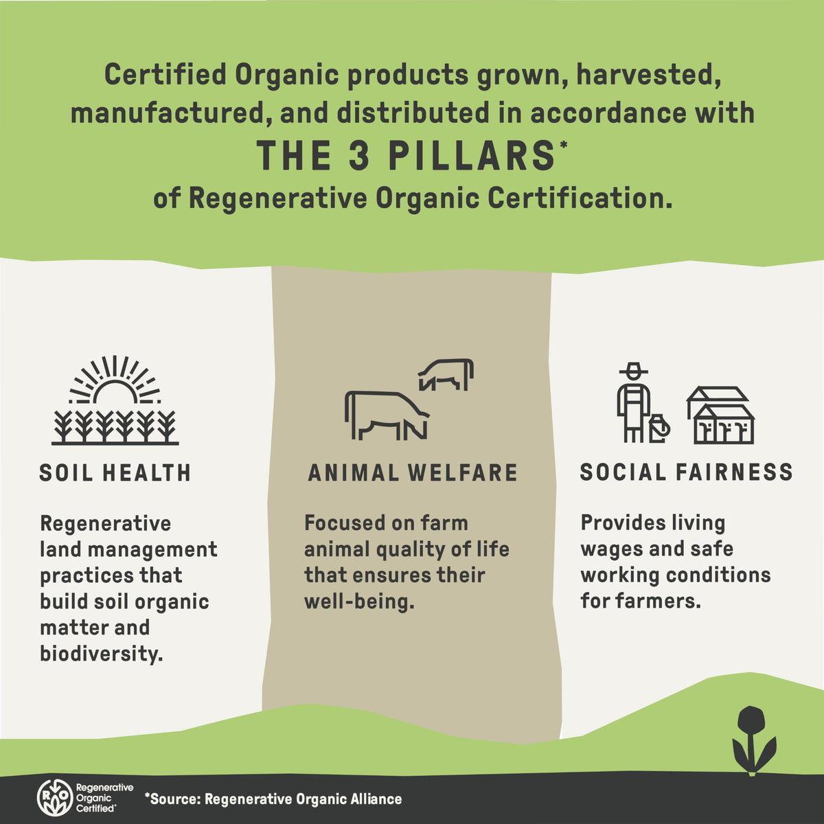 Groundwork ethical farming helps communities benefit from fair practices