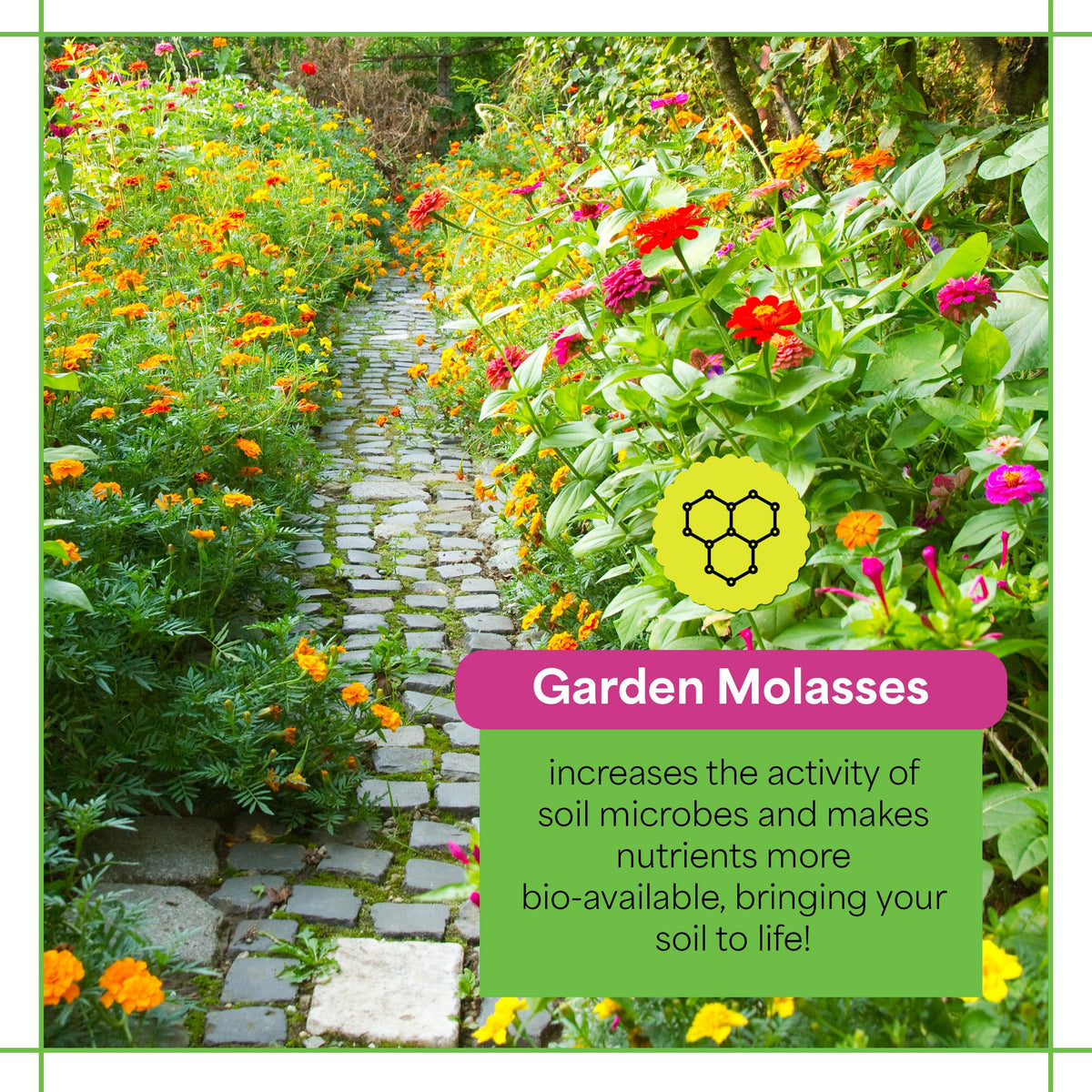 Grow More Garden Molasses label close-up shows yucca extract and nutrients