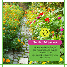 Grow More Garden Molasses label close-up shows yucca extract and nutrients