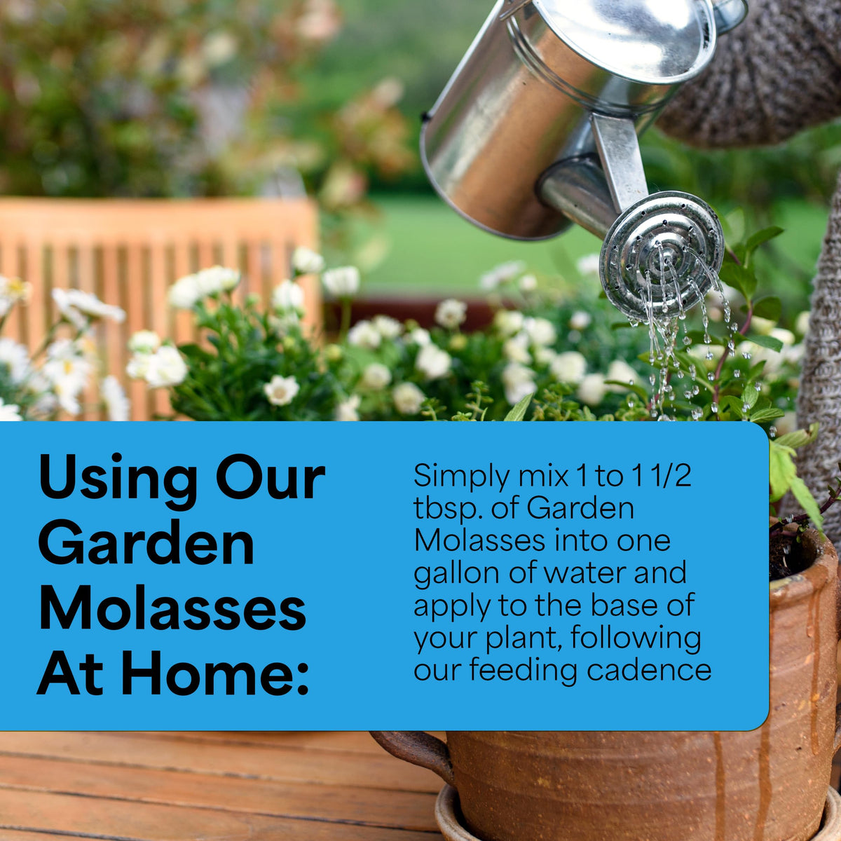 Grow More Garden Molasses pour into soil bed improves moisture retention