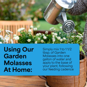Grow More Garden Molasses pour into soil bed improves moisture retention