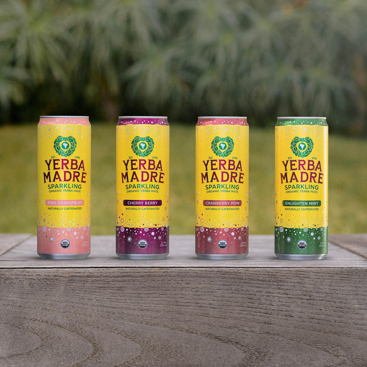 Guayaki Yerba Madre 12-pack shot; showcases value for sharing.
