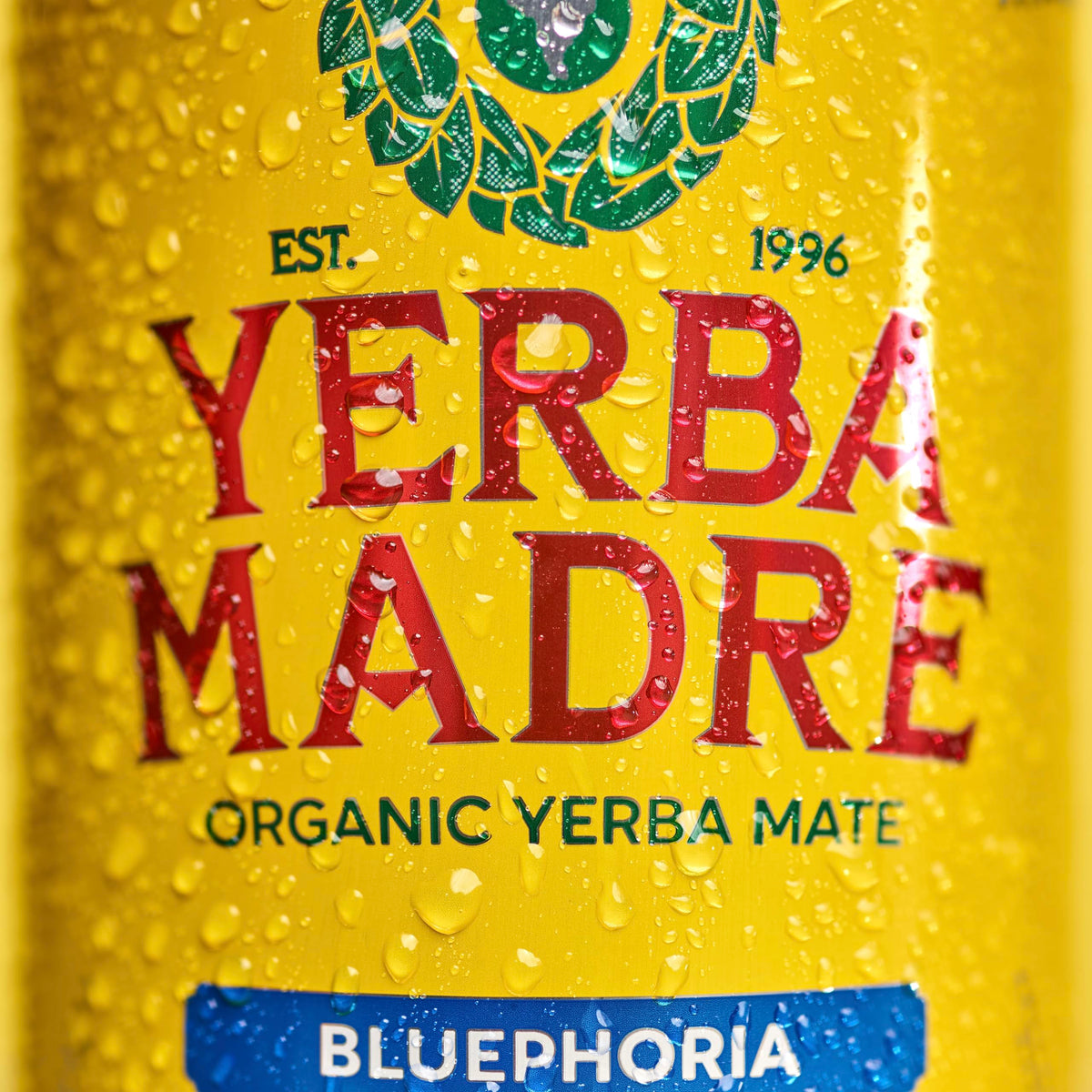 Guayaki Yerba Madre Bluephoria pack of 12 cans for on-the-go refreshment
