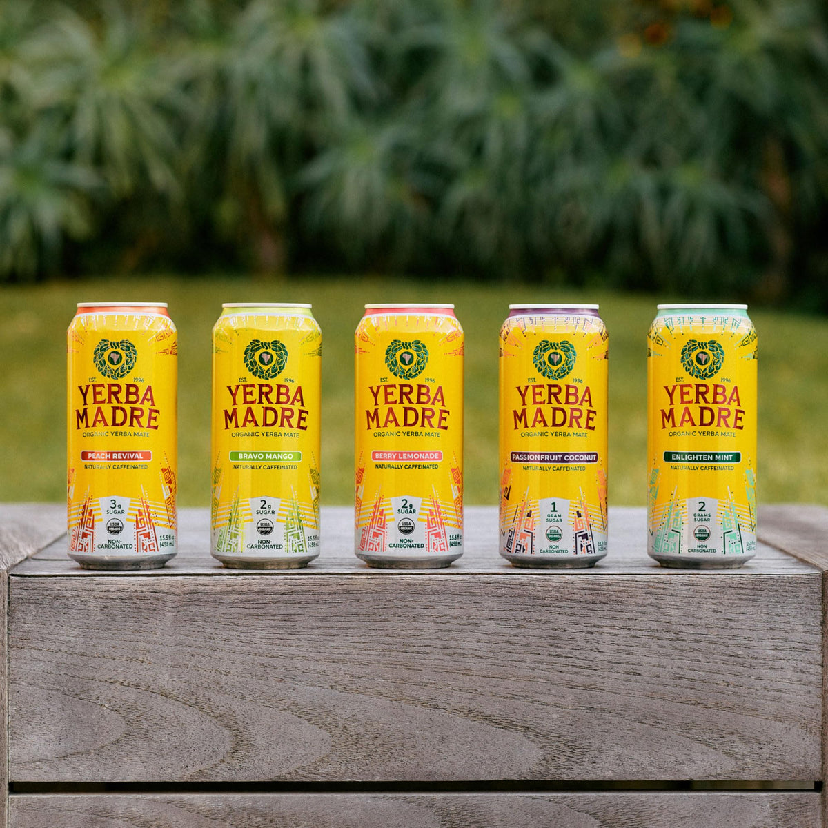 Guayaki Yerba Madre Bravo Mango label emphasizes regenerative, fair-trade sourcing.