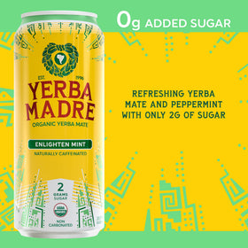 Guayaki Yerba Madre can on ice signaling smooth energy for study.