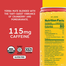 Guayaki Yerba Madre energy and focus shot, natural caffeine in action