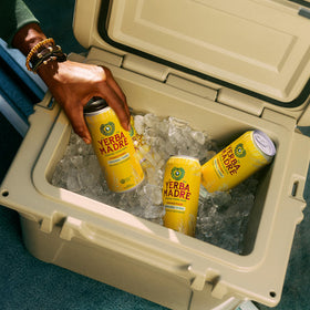 Guayaki Yerba Madre energy splash — refreshing lift without crash