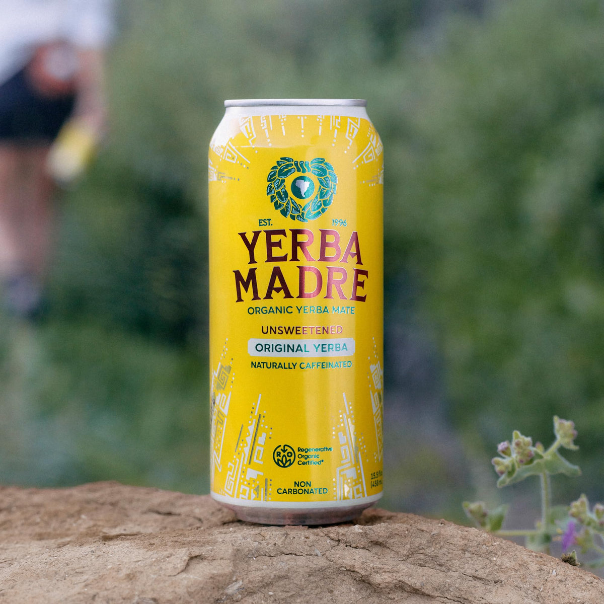 Guayaki Yerba Madre glass 3D — sustainable packaging, quick energy