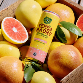 Guayaki Yerba Madre label close-up highlights regenerative organic farming and fair trade roots.