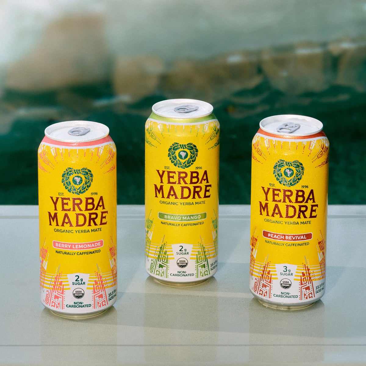 Guayaki Yerba Madre origin-forest shot highlights plant-powered heritage