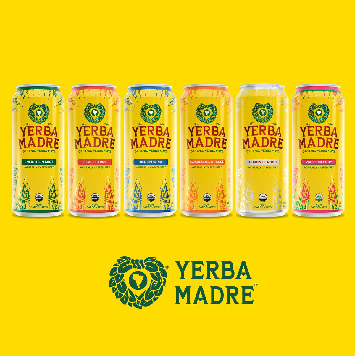 Guayaki Yerba Madre 12-can pack on display highlighting value and sustainability