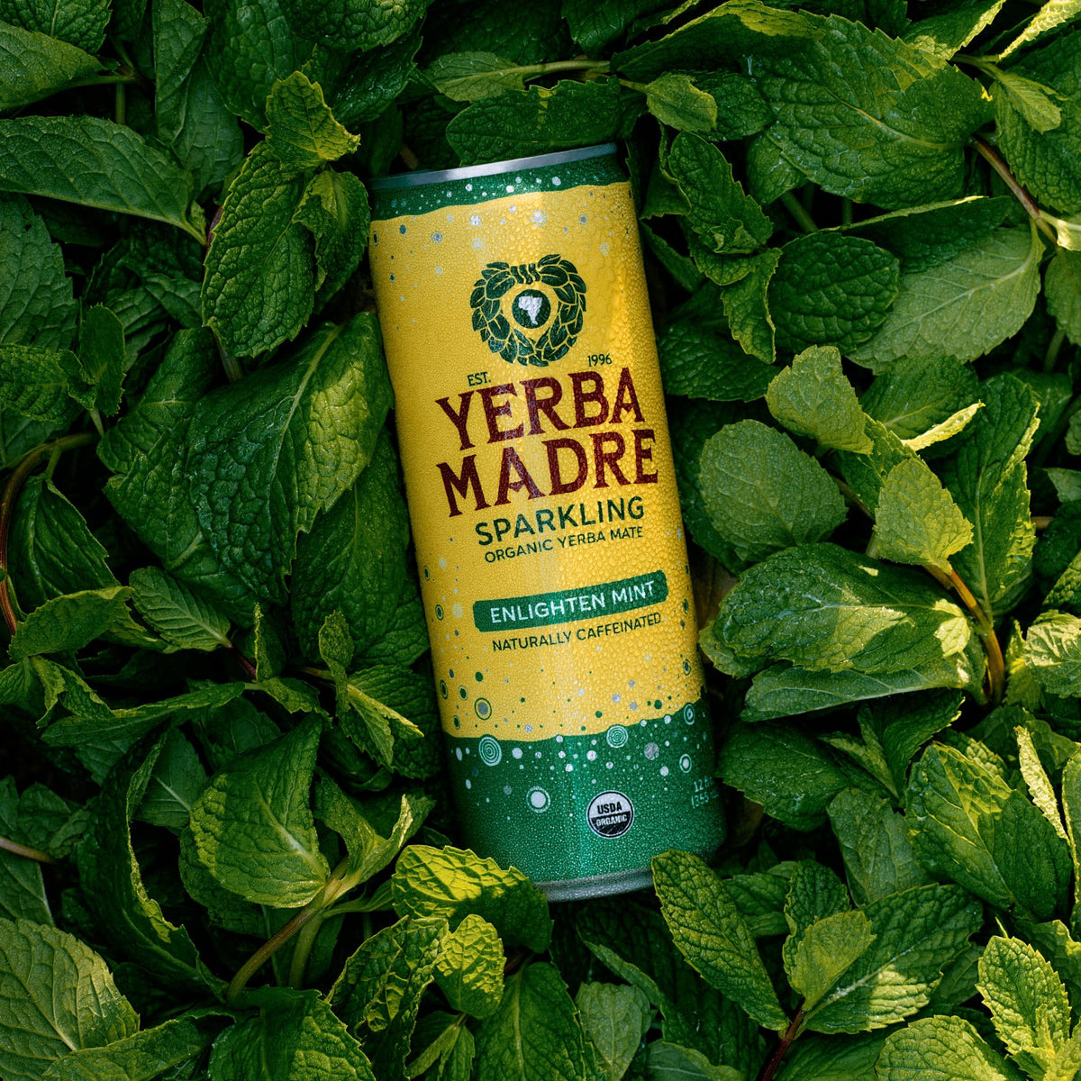 Pack of 12 Guayaki Yerba Madre cans for daily hydration and energy.