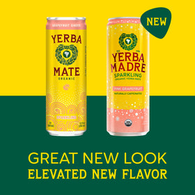 Guayaki Yerba Madre sparkling pour captures foamy bubbles for a crisp, focused sip.
