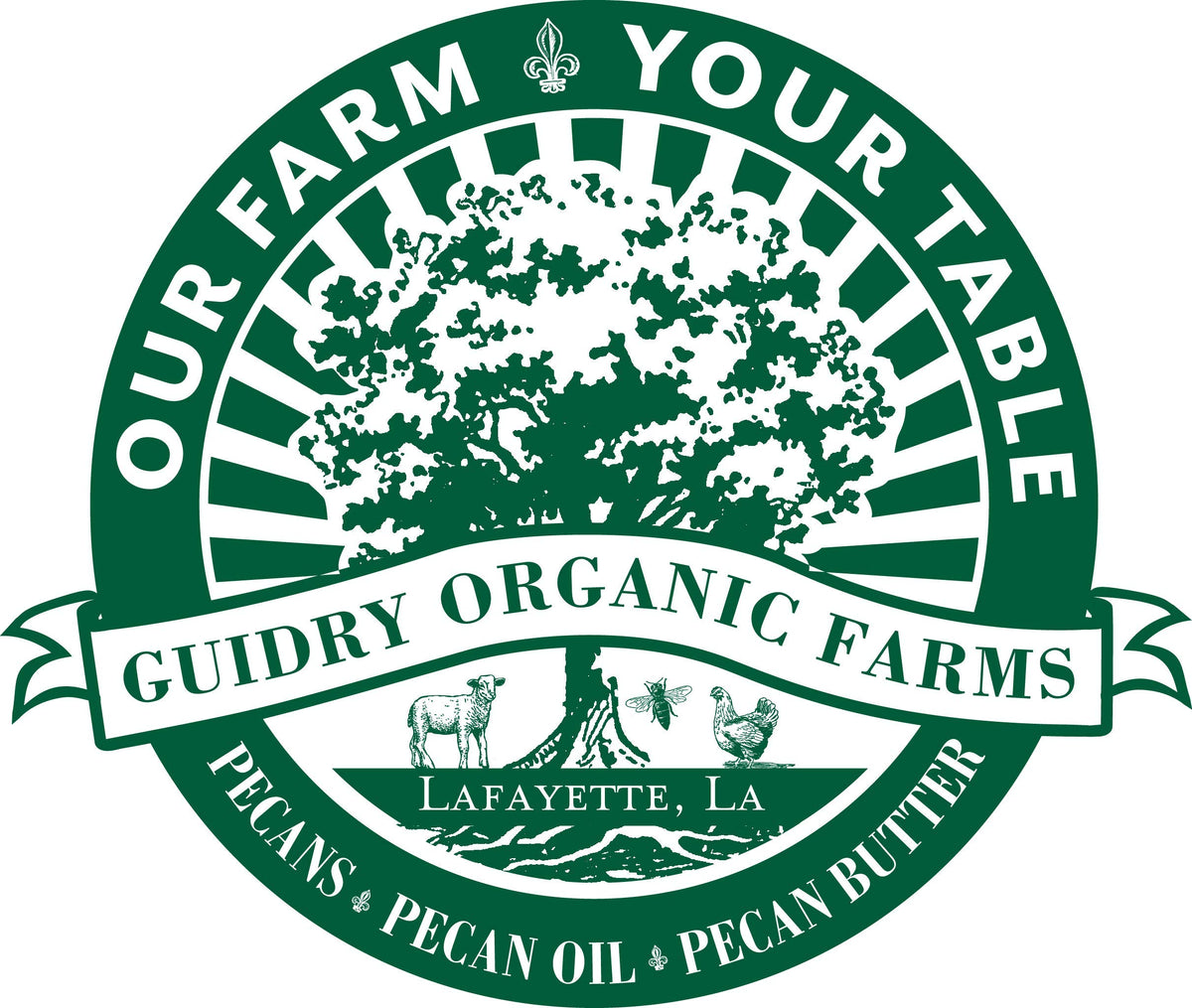 Guidry Organic Farms pecan oil in a cozy kitchen scene highlighting hand-made quality.