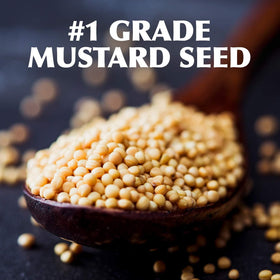 Gulden's Spicy Brown Mustard two-bottles pack demonstrates convenient 2 x 24 oz quantity.