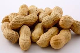 Gurley’s non-GMO peanuts in-shell for wholesome snacking.