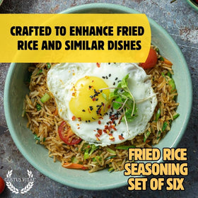 Gustus Vitae fried rice seasoning small batch USA made blends in kitchen