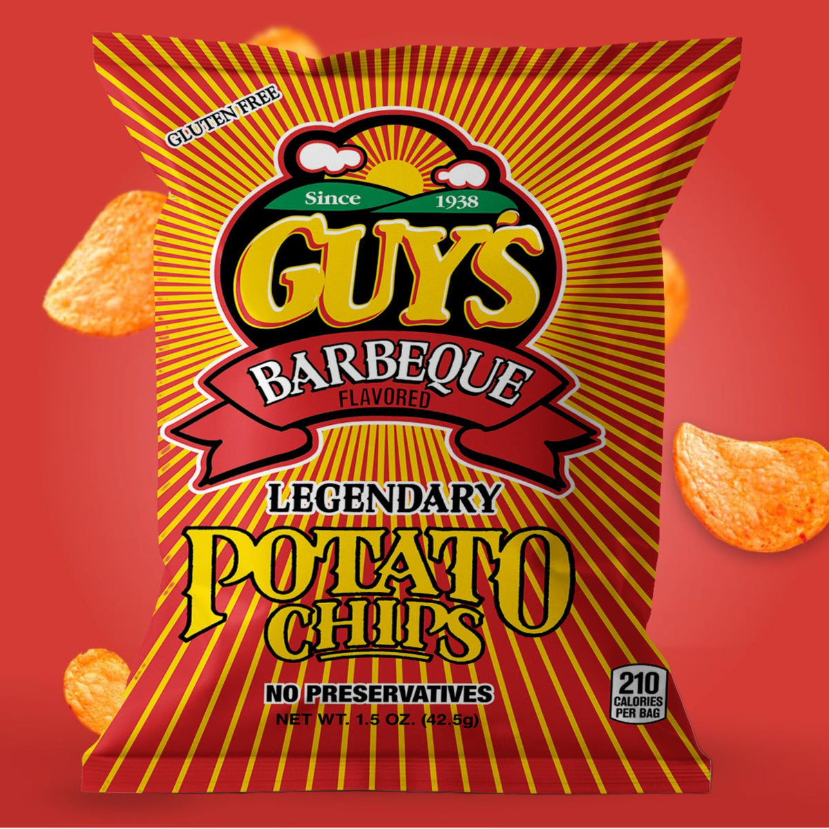Close-up of Guy's BBQ Potato Chips texture and smoky spices.
