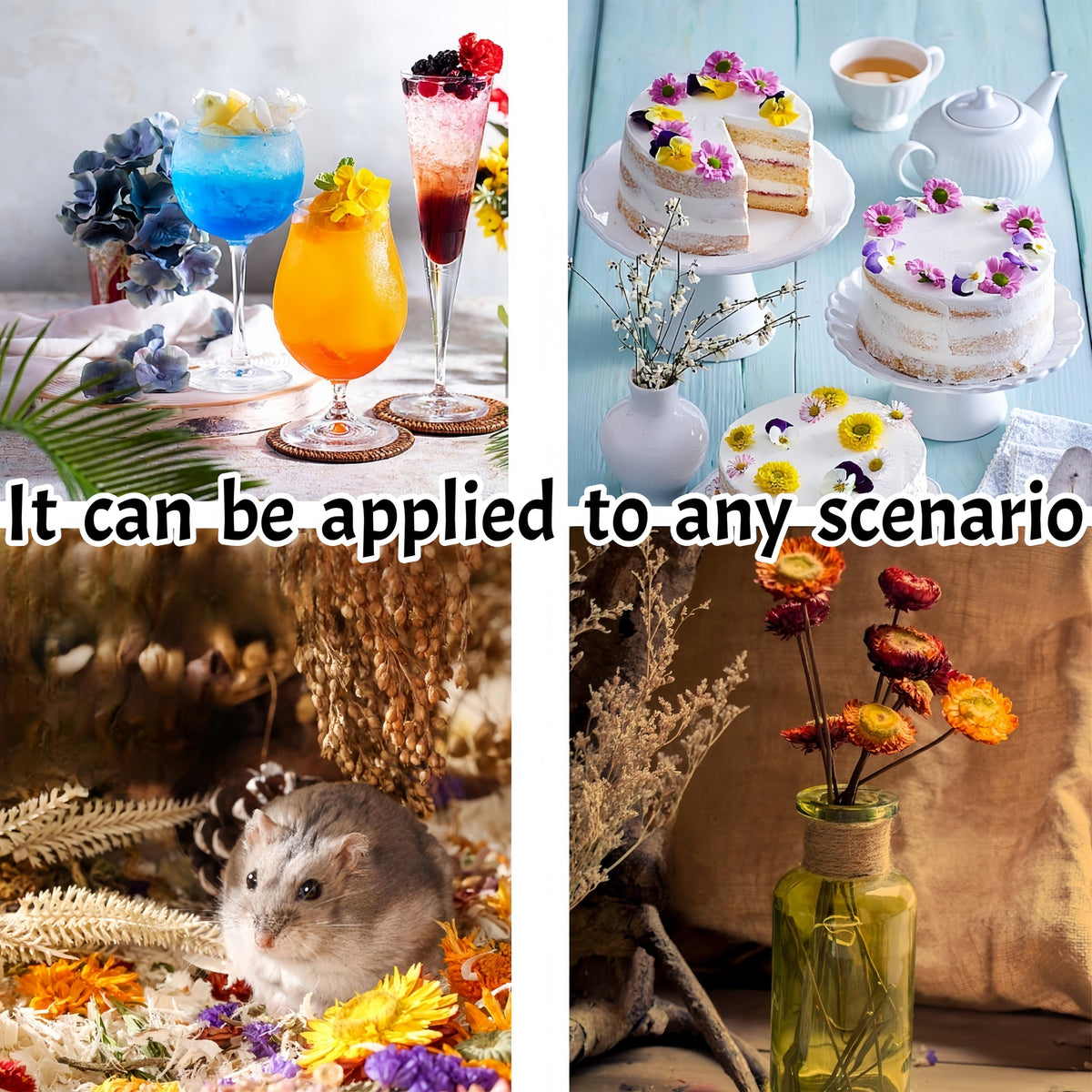 GXXDMZAQ chrysanthemum flowers used as elegant edible cocktail toppers
