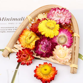 GXXDMZAQ chrysanthemum flowers for creative DIY crafts and décor