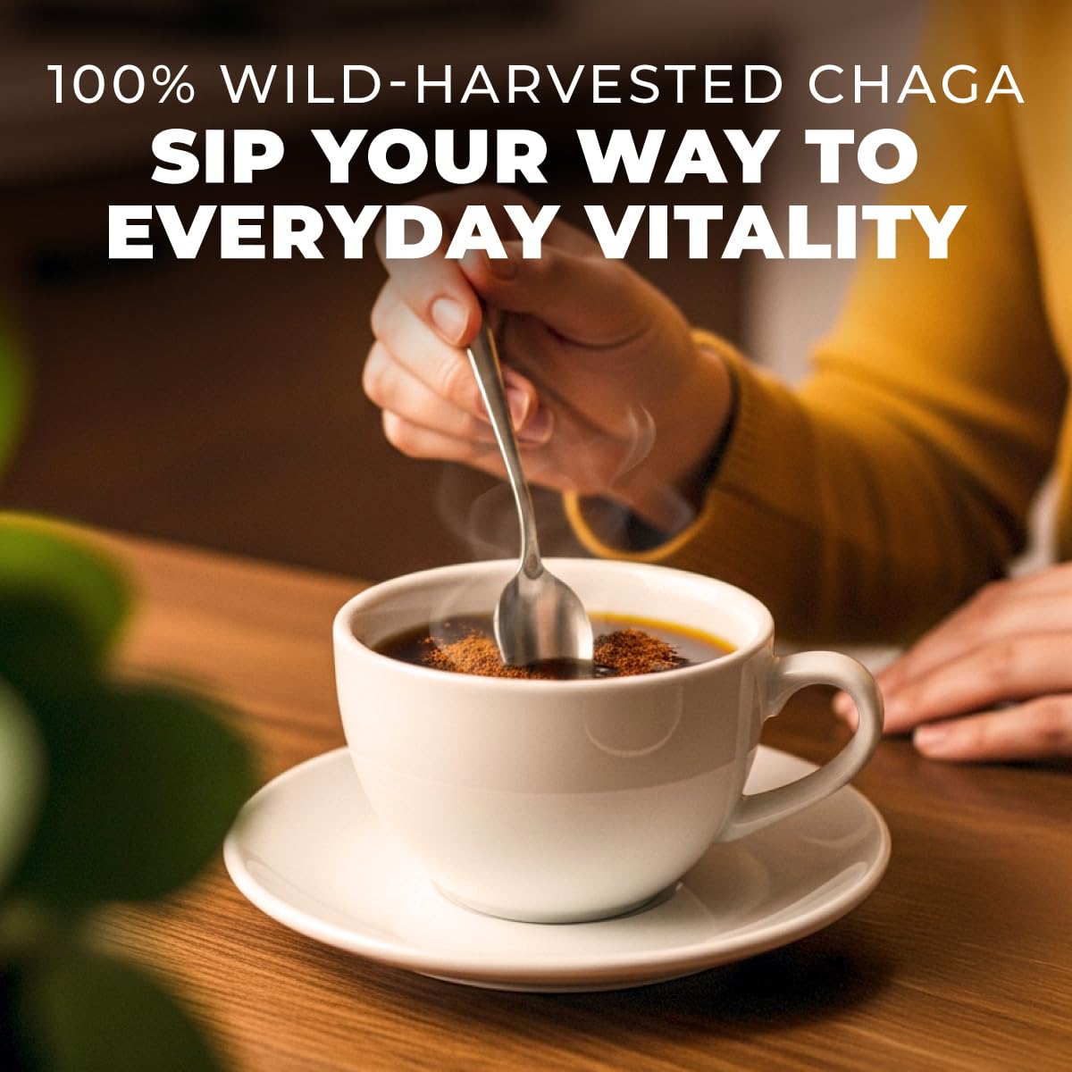 Gya Tea Co Chaga Powder scoop on glass jar highlights convenient daily use in smoothies.