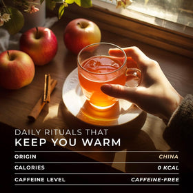 Gya Tea Co hot or iced tea pods for quick, mess-free brewing.