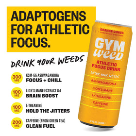 Gym Weed KSM66 ashwagandha graphic highlighting focus support