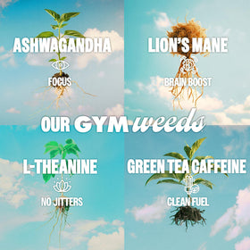 GYM WEED athlete ready-to-drink bottle in gym environment.