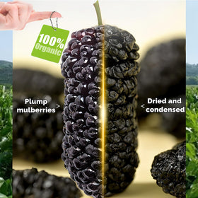 H2ONDBQF hand-picked sun-dried mulberries image emphasizing natural sweetness for baking