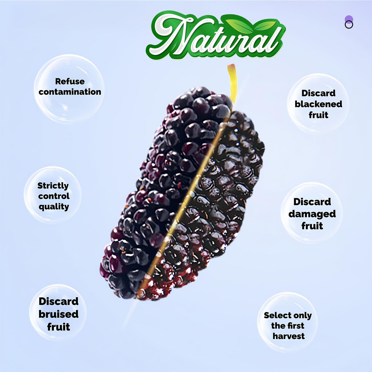 H2ONDBQF mulberries in yogurt image highlighting versatile topping and texture