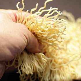 Hakubaku egg-white kansui noodles deliver authentic texture