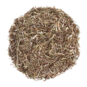 Close-up of vervain leaves showing cut texture ideal for brewing.