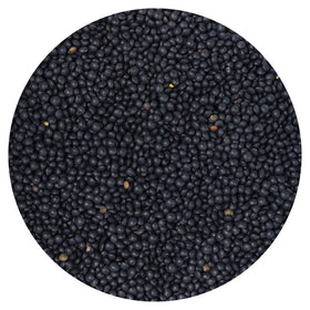 Hampton Distribution Black Beluga lentils bulk bag in pantry for versatile meals
