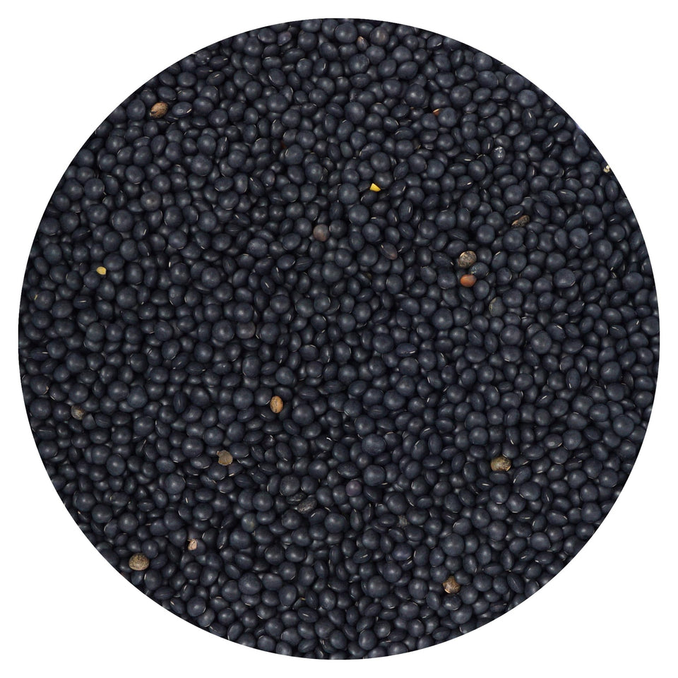 Hampton Distribution Black Beluga lentils bulk bag in pantry for versatile meals