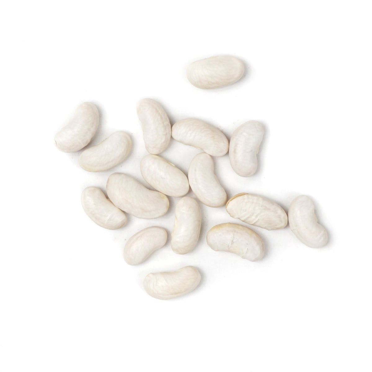 Hampton Distribution cannellini beans in pot demonstrating easy cooking.