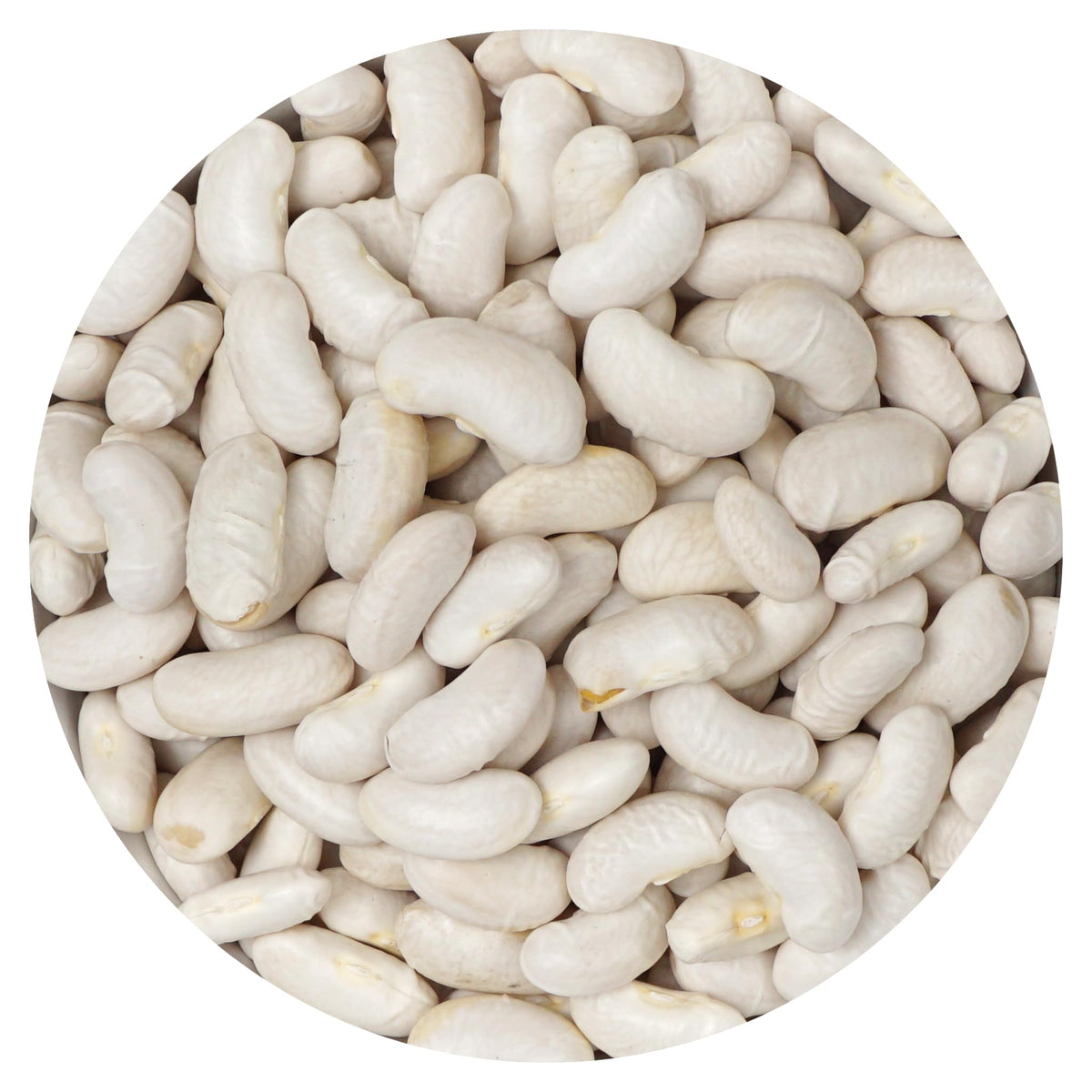 Hampton Distribution dried cannellini beans bulk bag for protein-packed meals.