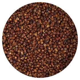 Hampton Distribution Grains of Paradise tin label closeup shows packaging and branding