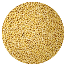 Close-up of Hampton millet grains highlighting natural texture and mineral-rich profile.