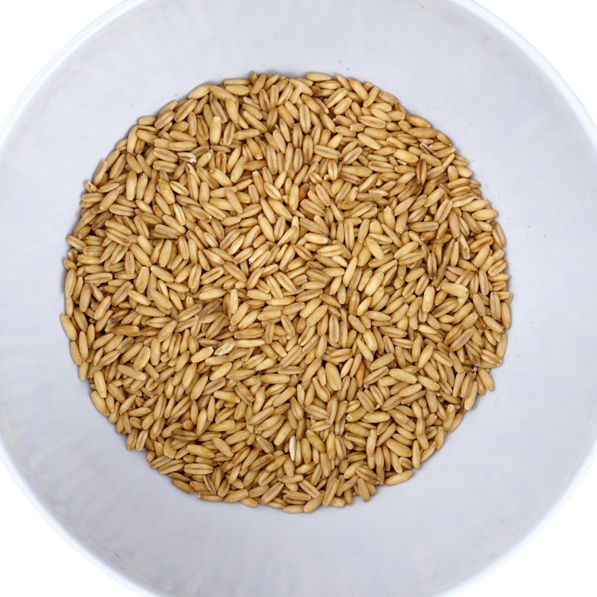 Hampton Distribution oat groats in bowl ready for hot breakfast or meal prep.