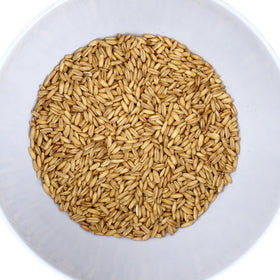 Hampton Distribution oat groats in bowl ready for hot breakfast or meal prep.
