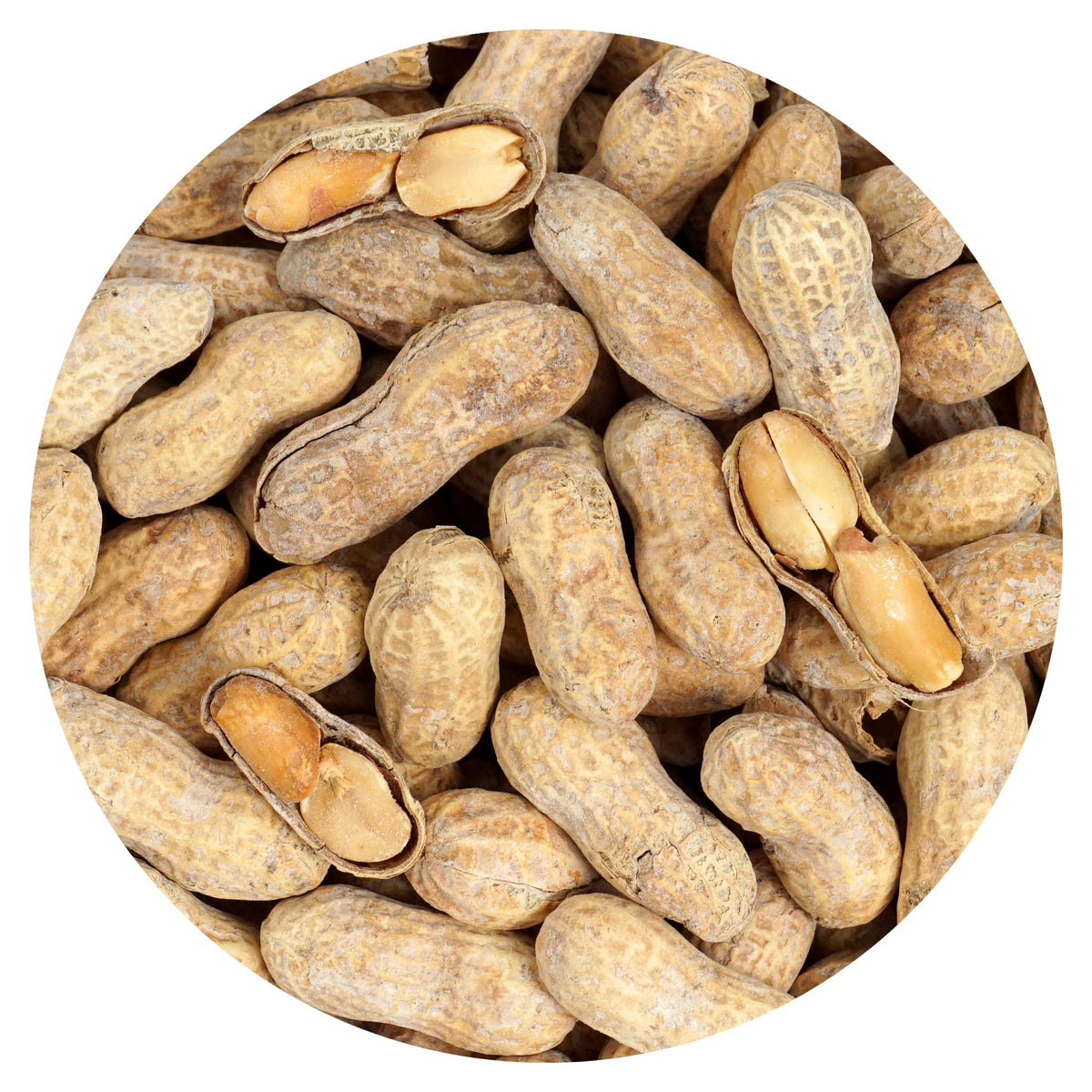 Hampton Distribution peanuts in shell—roasted and salted, perfect for on-the-go snacking.