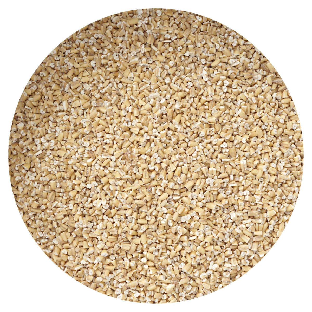Hampton Distribution Regular Steel Cut Oats in a bulk bag for easy breakfast prep.