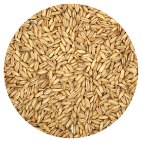 Hampton Distribution whole oat groats bulk bag ready for hearty breakfasts.