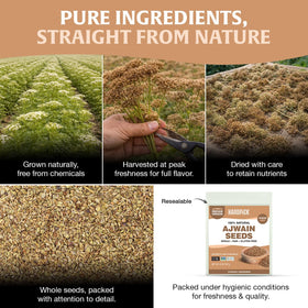 HANDPICK Ajwain seeds non-GMO origin showcasing purity and trust