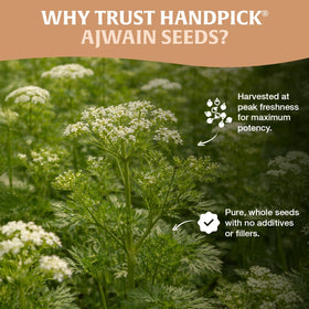 HANDPICK Ajwain seeds resealable ziplock pouch preserving freshness and aroma