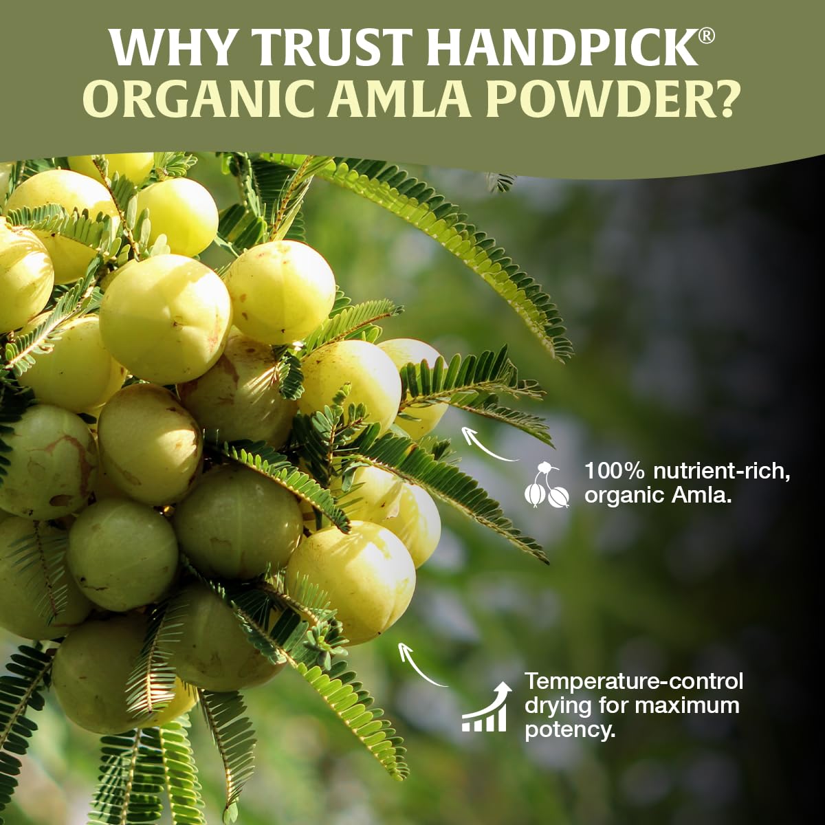 HANDPICK Amla powder is lab-tested for purity and safety.
