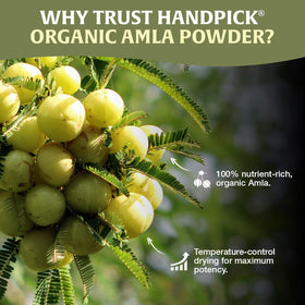 HANDPICK Amla powder is lab-tested for purity and safety.