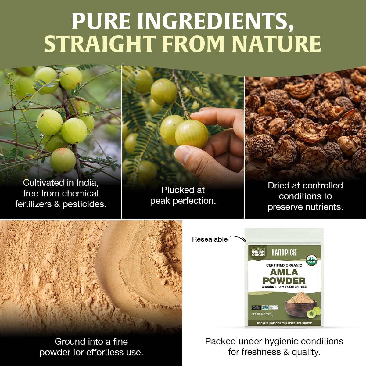 HANDPICK Amla powder appears as raw Indian gooseberry for vibrant daily use.