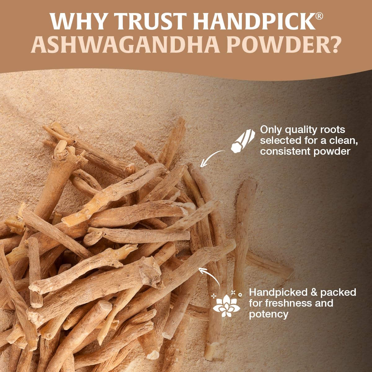 HANDPICK rebrand from Spice Train to HANDPICK on packaging.
